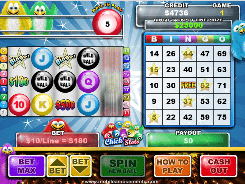 Slot Bingo Chick PREMIUM