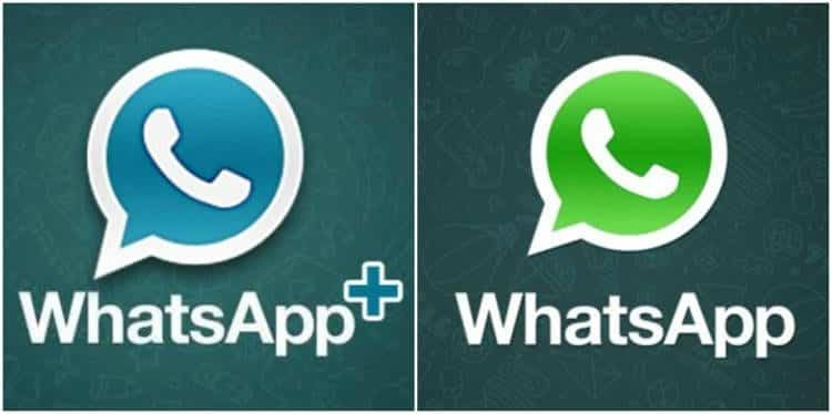 WhatsApp + versus WhatsApp