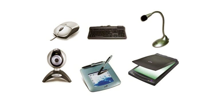 input device examples