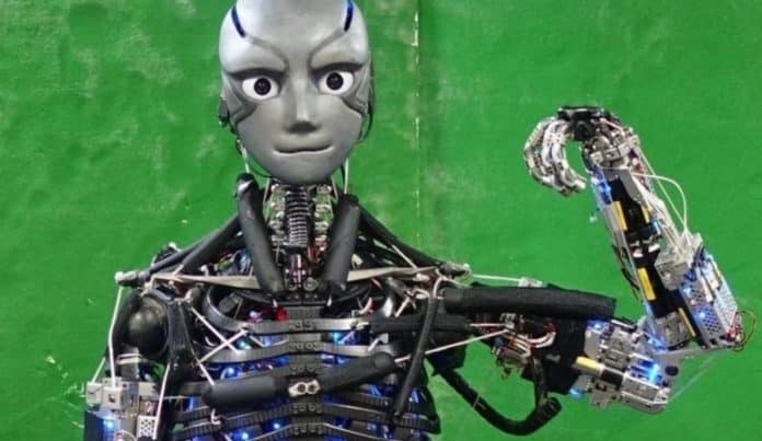 robot autonomo