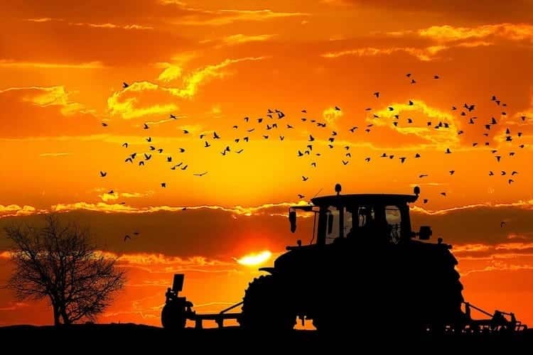 Tecnología y medioambiente